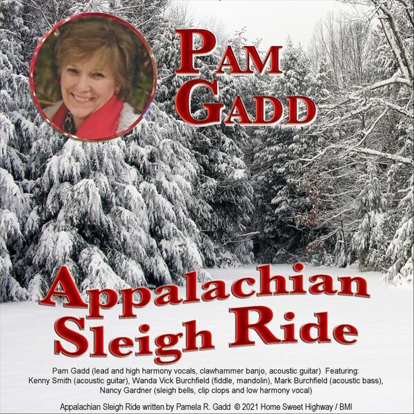 Cover art for Appalachian Sleigh Ride
